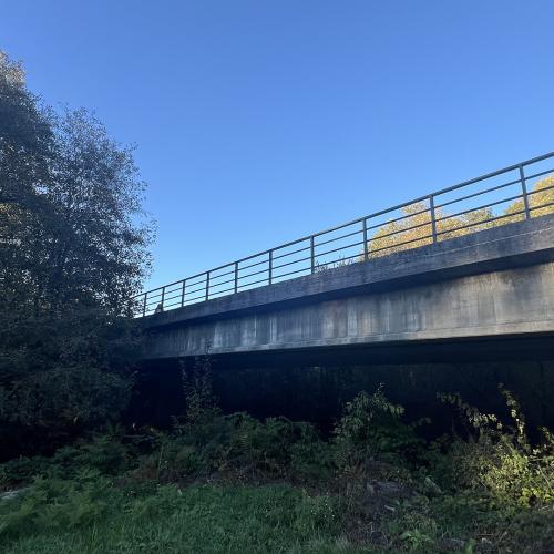 Ponte de San Amaro Bridge 2