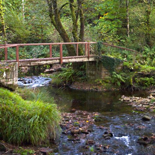 O Cotelo Recreation Area 1