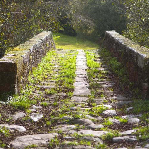 Ponte vella de And&oacute;n 2