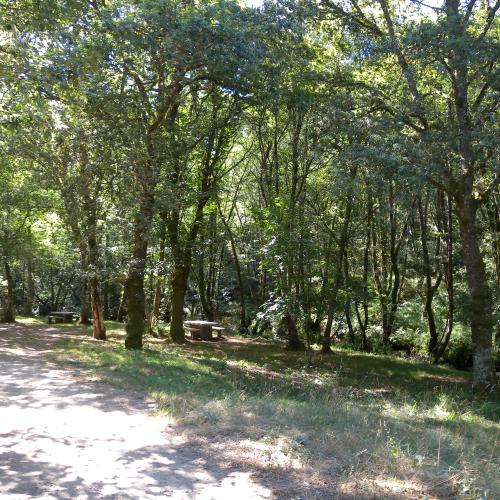 Mouriscade Recreation Area 1