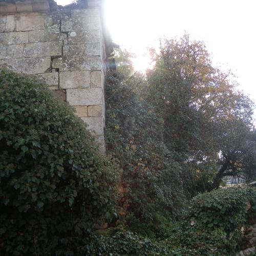 Pazo de Bergazos 1