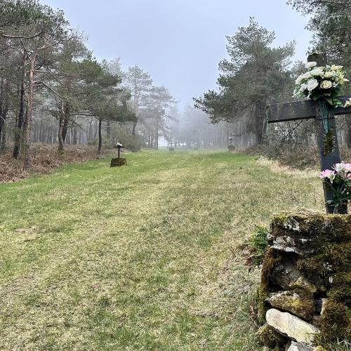 Camino de la Virgen 2