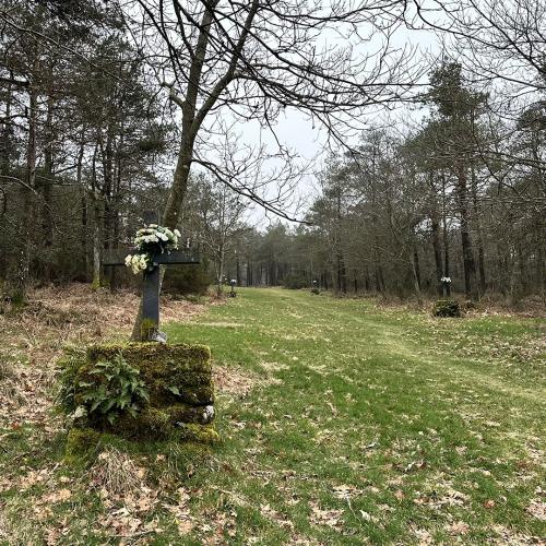 Camino de la Virgen 4