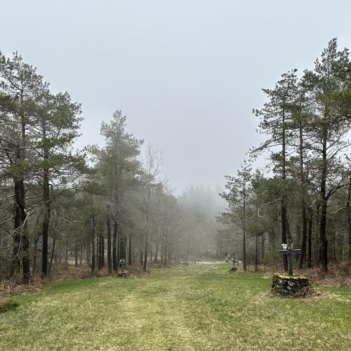 Camino de la Virgen 9