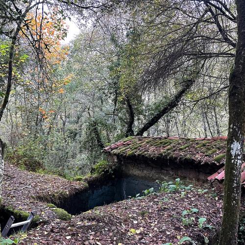 Molino del r&iacute;o Rodeiro 1