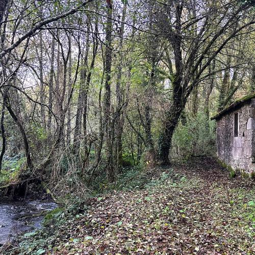 Molino del r&iacute;o Rodeiro 0