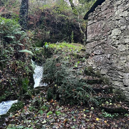 Molino del r&iacute;o Rodeiro 2