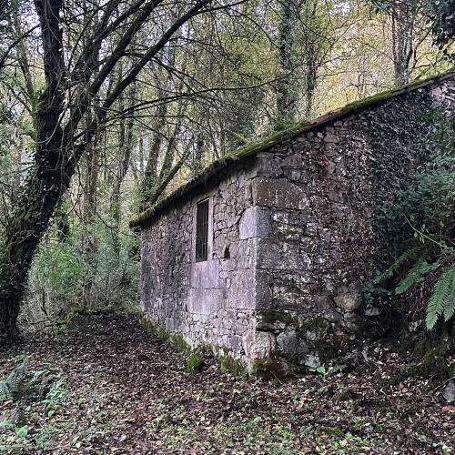Molino del r&iacute;o Rodeiro 3
