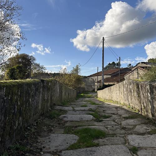Puente medieval de Pedroso 0