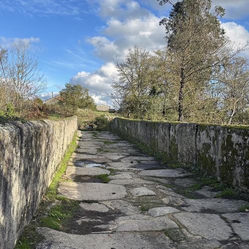 Puente medieval de Pedroso 3