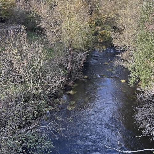 Puente medieval de Pedroso 4
