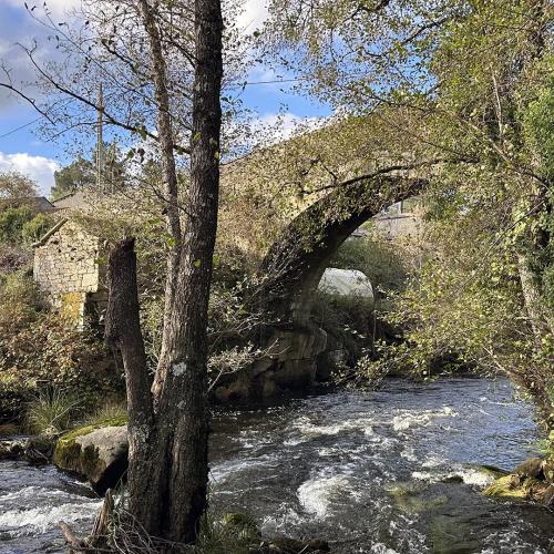 Puente medieval de Pedroso 5