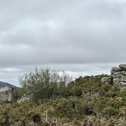 Castro de Pena Grande Hillfort 0