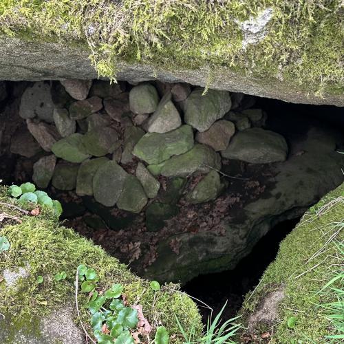Coto dos Mouros 6