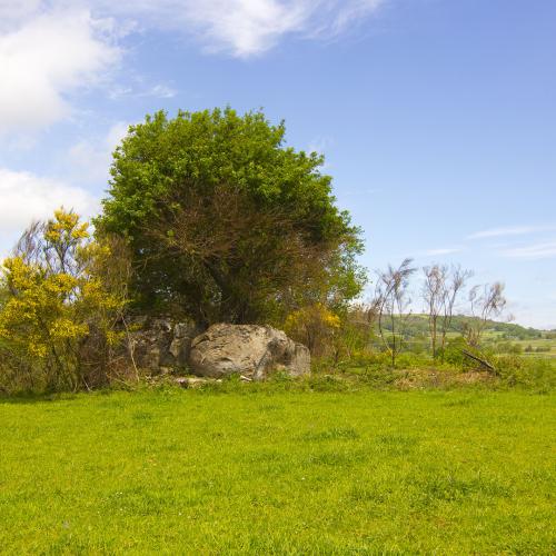 Vila romana Porta de Arcos 1