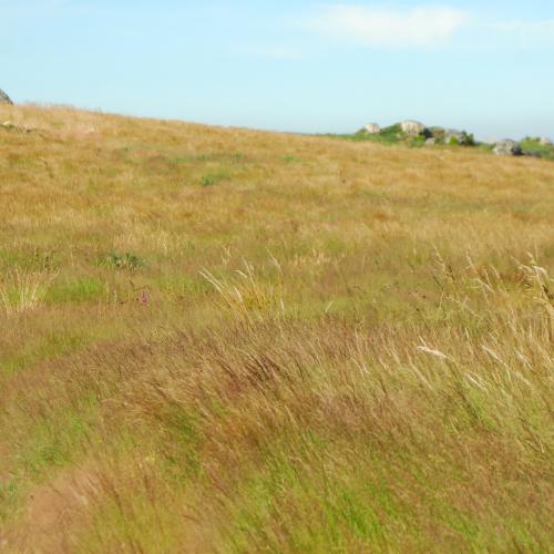 Serra do Faro 3