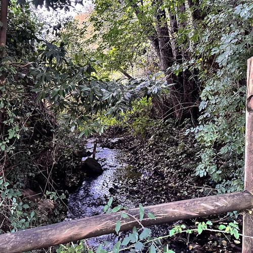 Puente r&iacute;o de Mera 2