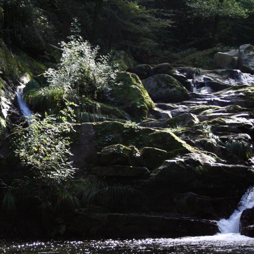 Fervenza do Toxa 9