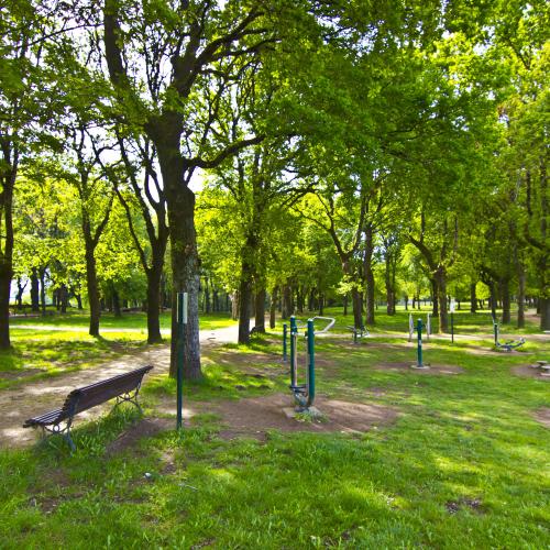 &Aacute;rea recreativa das Pedrosas 0