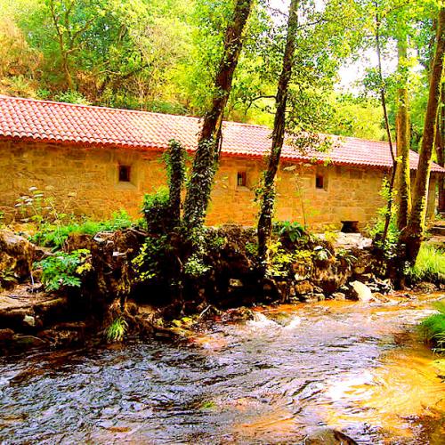 Molino de Covi&aacute;n 0
