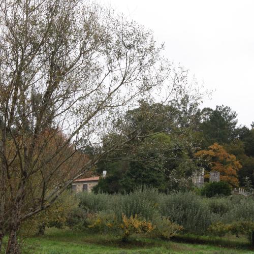 Pazo de Paiz&aacute;s 0