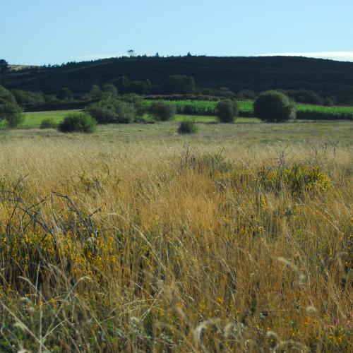 Ruta de la Naturaleza 1