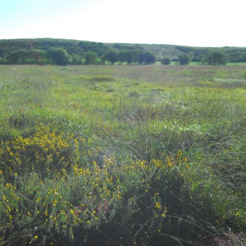 Ruta de la Naturaleza 2