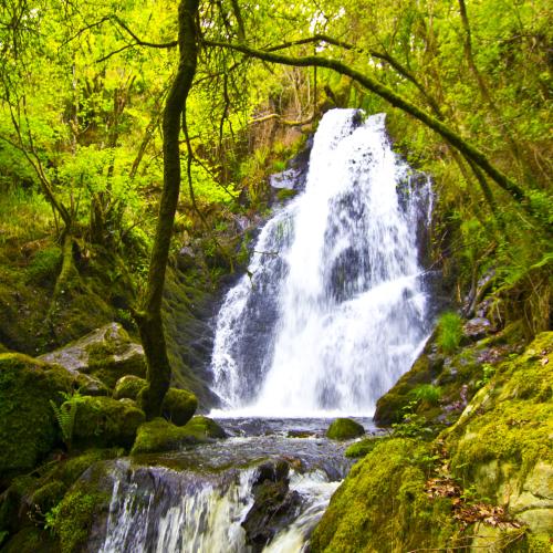 Ruta de la Naturaleza 3