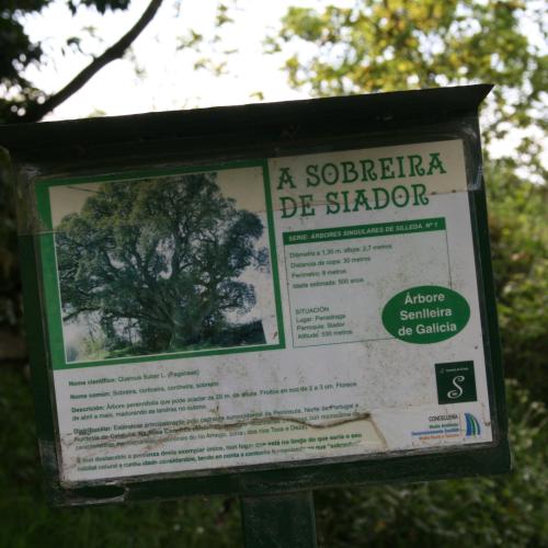 Sobreira de Siador 2